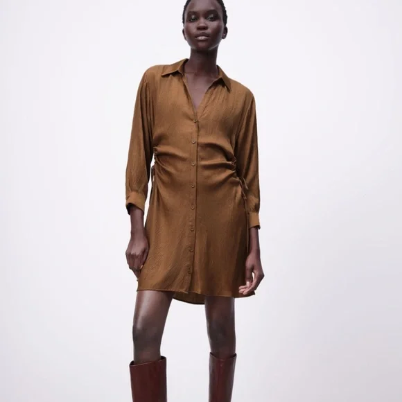 zara long sleeve dress with buttons Zara